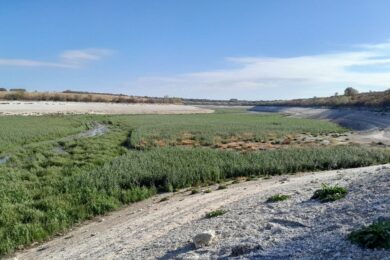 «Через колишнє Каховське водосховище ворог пробує зайти у фланг ЗСУ, лізе через очерет, але наші їх знищують» – Сили оборони Півдня про ситуацію на Запоріжжі і Дніпропетровщині