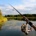 Заборона на вилов риби стартувала в Україні: що дозволено та як уникнути штрафів