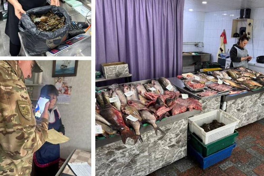 Які в Україні штрафи за незаконний продаж риби 1 Які в Україні штрафи за незаконний продаж риби