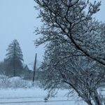 Дощі з переходом у сніг, на дорогах ожеледиця: прогноз погоди на 22 листопада