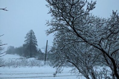 Дощі з переходом у сніг, на дорогах ожеледиця: прогноз погоди на 22 листопада