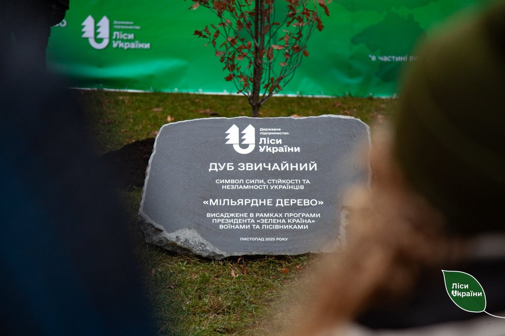 виконали програму Зеленського і висадили мільярд дерев