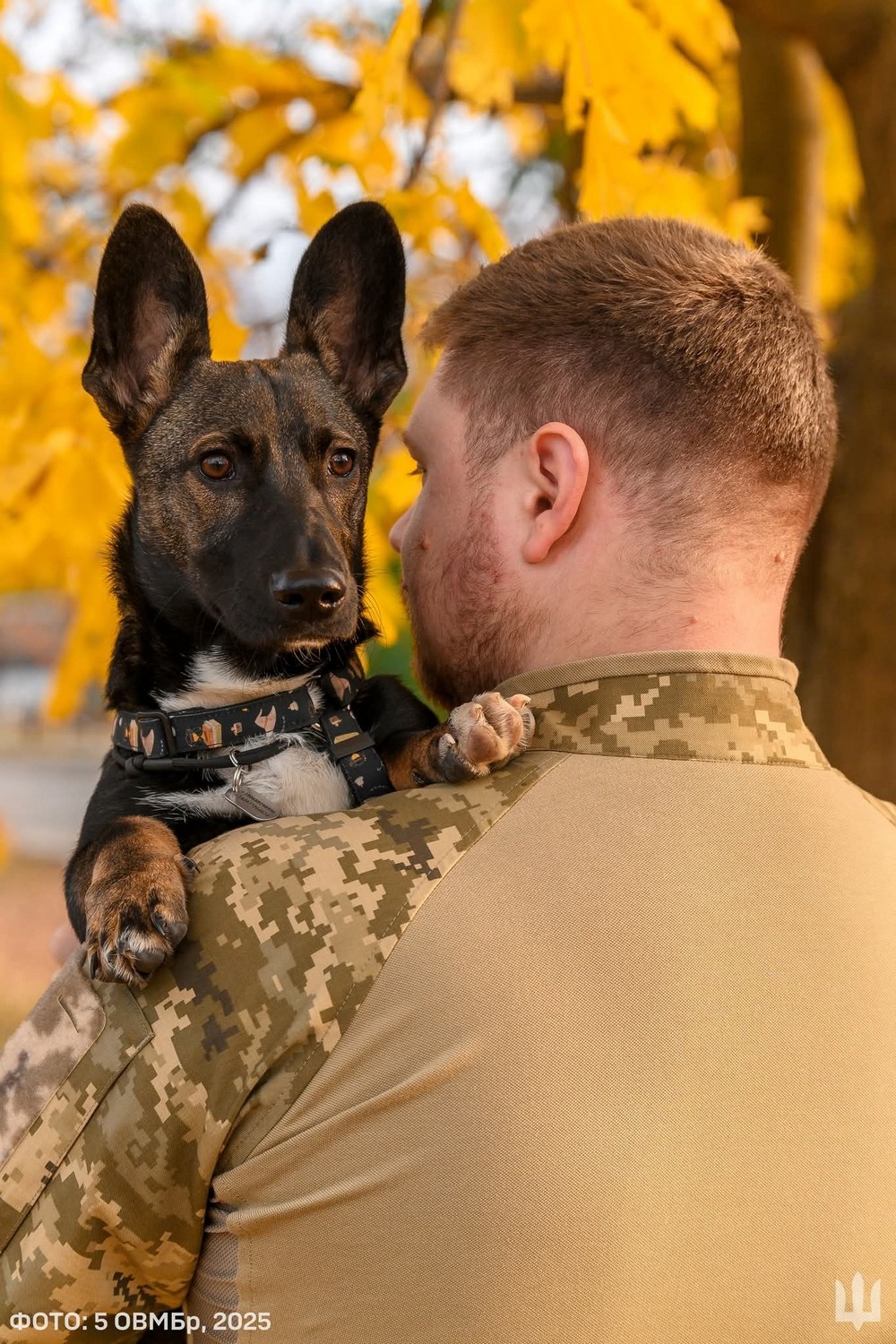 Згадану програму запустили з вересня 2024 року. Відтоді всі охочі могли отримувати на спеціальну картку кешбек у розмірі 10% від суми покупки товарів українського виробництва. Така виплата не могла перевищувати трьох тисяч гривень на місяць. За час її існування уряд витратив на виплати орієнтовно чотири мільярди гривень. Водночас ефективність цієї програми для бізнесу невідома.