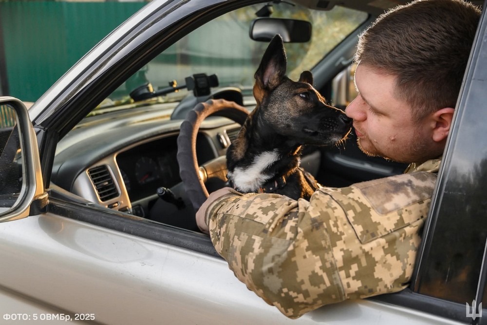 Згадану програму запустили з вересня 2024 року. Відтоді всі охочі могли отримувати на спеціальну картку кешбек у розмірі 10% від суми покупки товарів українського виробництва. Така виплата не могла перевищувати трьох тисяч гривень на місяць. За час її існування уряд витратив на виплати орієнтовно чотири мільярди гривень. Водночас ефективність цієї програми для бізнесу невідома.