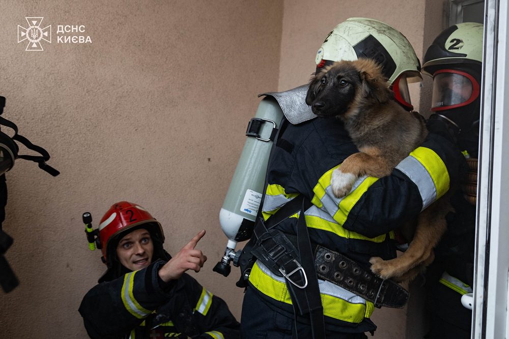 587822455 1264499029044385 4914865851804923169 n