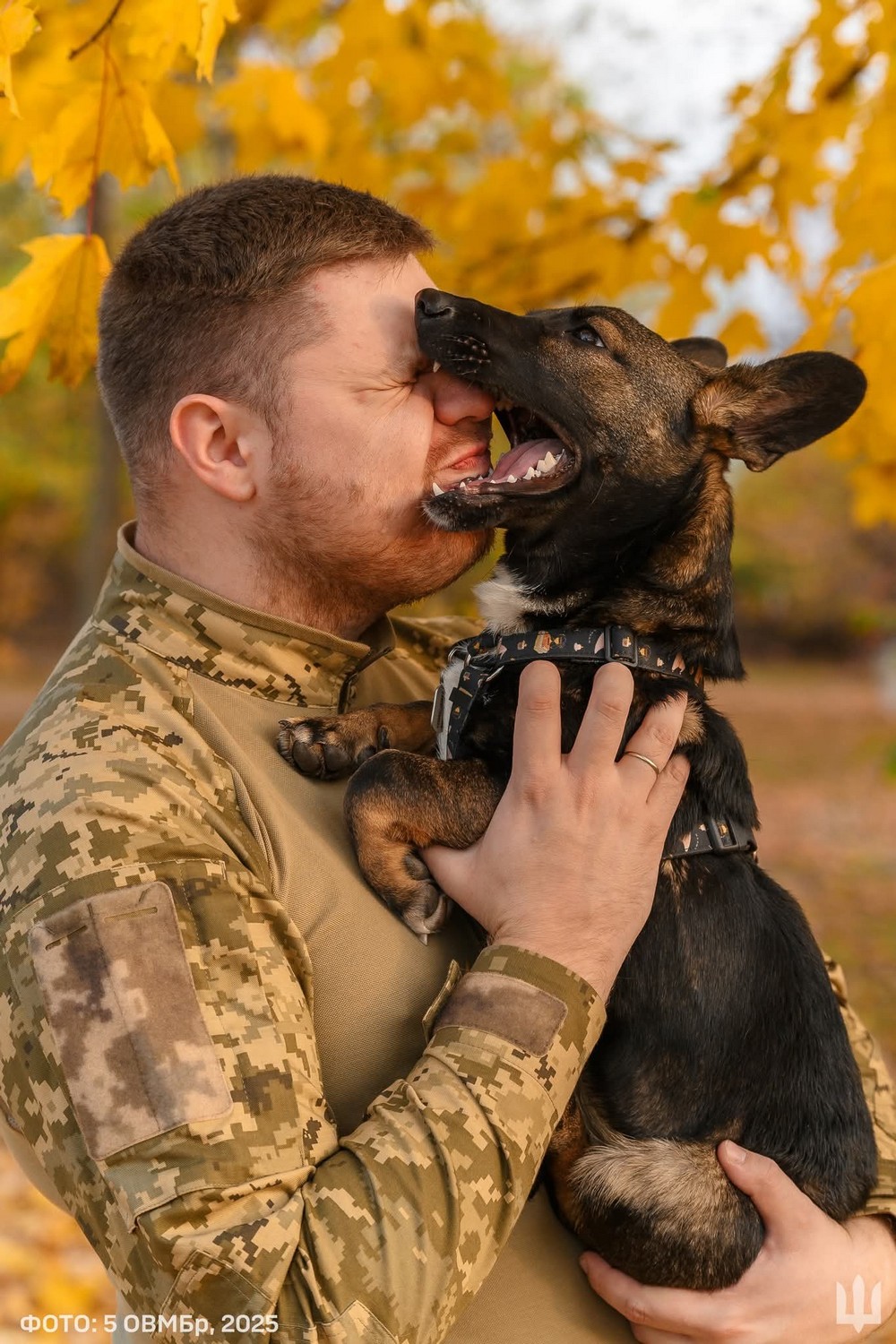 Згадану програму запустили з вересня 2024 року. Відтоді всі охочі могли отримувати на спеціальну картку кешбек у розмірі 10% від суми покупки товарів українського виробництва. Така виплата не могла перевищувати трьох тисяч гривень на місяць. За час її існування уряд витратив на виплати орієнтовно чотири мільярди гривень. Водночас ефективність цієї програми для бізнесу невідома.
