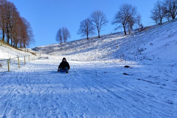 Пенсії, грошова допомога, безкоштовні поїздки УЗ, нові правила бронювання тощо: головні зміни у грудні 2025 року