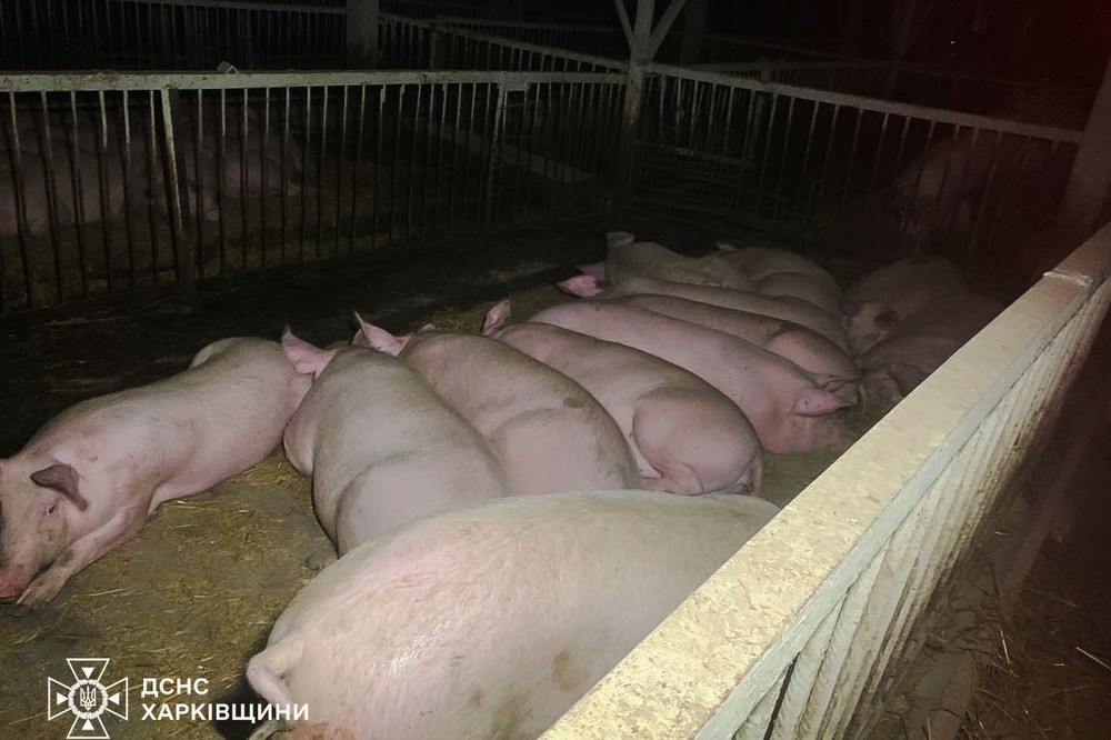 Харківщина 2