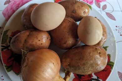 Яйця по 100, яблука по 70: які продукти подорожчають у грудні і на скільки – прогноз експертів