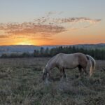 4 листопада – яке сьогодні свято, прикмети і традиції, пам’ятні дати, іменини