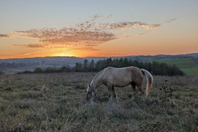 4 листопада – яке сьогодні свято, прикмети і традиції, пам’ятні дати, іменини
