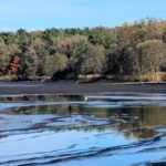 14 листопада – яке сьогодні свято, прикмети і традиції, пам’ятні дати, іменини