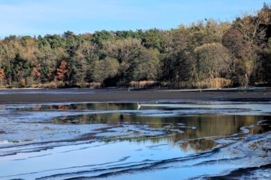 14 листопада – яке сьогодні свято, прикмети і традиції, пам’ятні дати, іменини