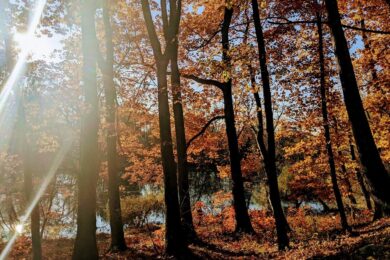 18 листопада – яке сьогодні свято, прикмети і традиції, пам’ятні дати, іменини