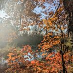 3 листопада – яке сьогодні свято, прикмети і традиції, пам’ятні дати, іменини