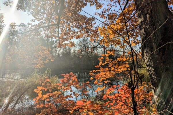 3 листопада – яке сьогодні свято, прикмети і традиції, пам’ятні дати, іменини