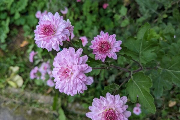 7 листопада – яке сьогодні свято, прикмети і традиції, пам’ятні дати, іменини