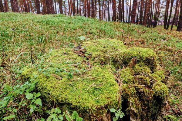 13 листопада – яке сьогодні свято, прикмети і традиції, пам’ятні дати, іменини