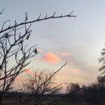 15 листопада – яке сьогодні свято, прикмети і традиції, пам’ятні дати, іменини