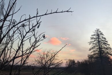 15 листопада – яке сьогодні свято, прикмети і традиції, пам’ятні дати, іменини