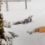 Безкоштовний кемп у Карпатах для дітей та підлітків – хто і як може подати заявку