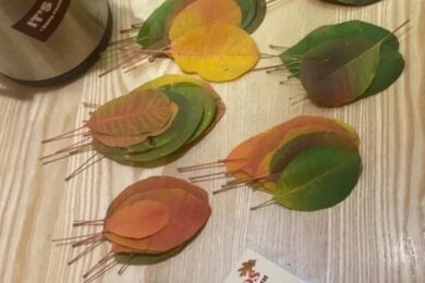 У кав’ярні Кривого Рогу діти можуть розрахуватися осінніми листочками (фото)