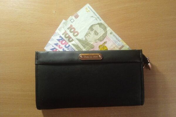 Зимова підтримка 2