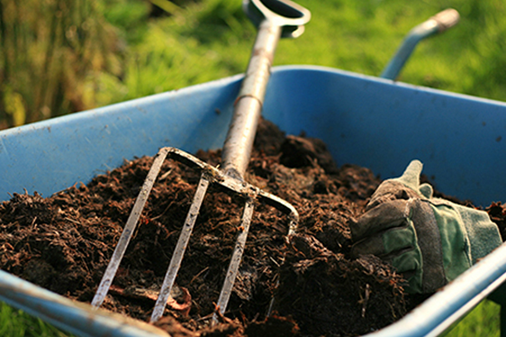 Останнє оброблення саду восени — коли та як зробити Оброблення дерев восени — коли та як зробити