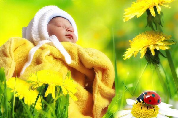 Підвищено виплати на дітей: 50 тисяч при народженні, 7 тисяч до року тощо - деталі ухваленого закону