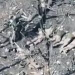 Окупанти розстріляли 5 військовослужбовців ЗСУ