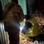 Їй 15 років: знайдено матір залишеного біля смітника у Житомирі немовляти