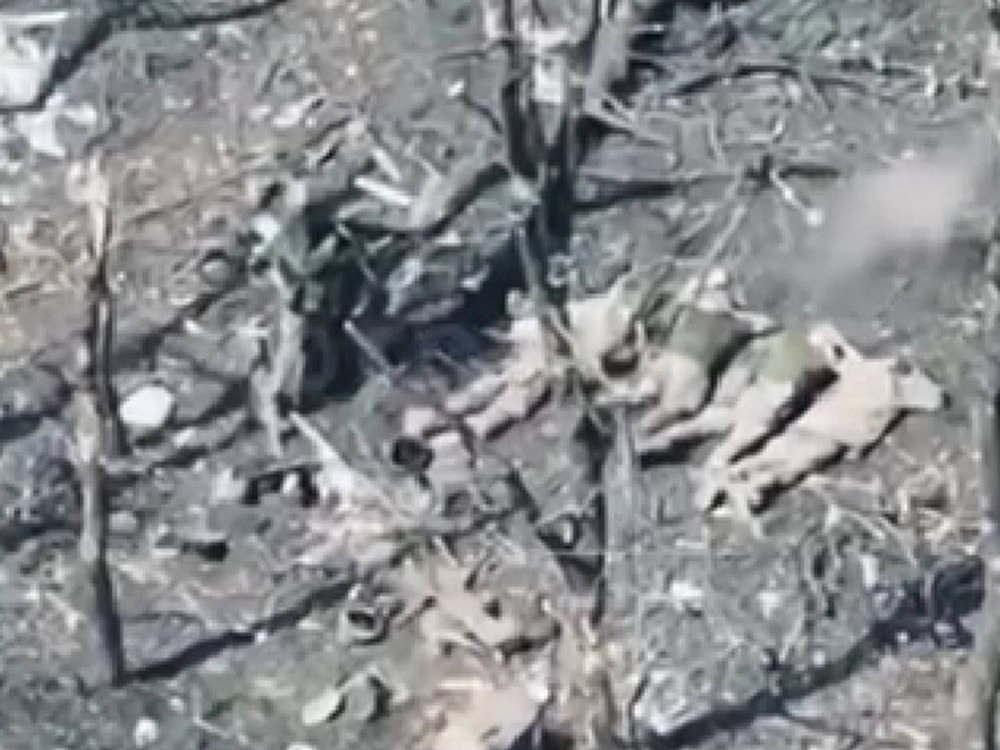 Окупанти розстріляли 5 військовослужбовців ЗСУ на Донеччині – що відомо Окупанти розстріляли 5 військовослужбовців ЗСУ на Донеччині – що відомо