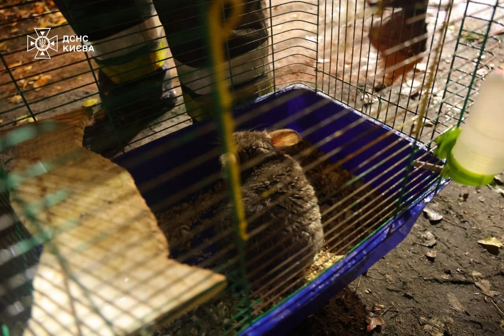 Фото наслідків ворожих атак на Київ і область