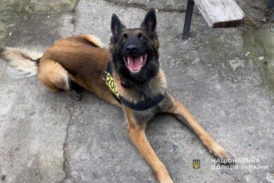 Зниклих майже місяць тому близнюків на Дніпропетровщині знайшли у колодязі живими – допомогла бельгійська вівчарка