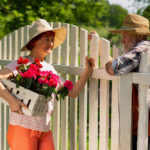 Не лише штраф – на які роботи на ділянці потрібен дозвіл сусіда