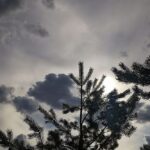 Дощі та тумани накриють країну – прогноз погоди на 3 листопада