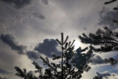 Дощі та тумани накриють країну – прогноз погоди на 3 листопада