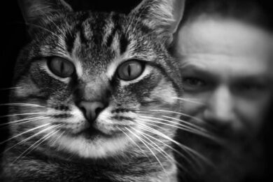 «Ця втрата розбила залишки серця…»: