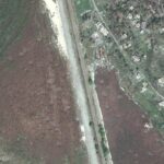 Є місця, де молодий ліс