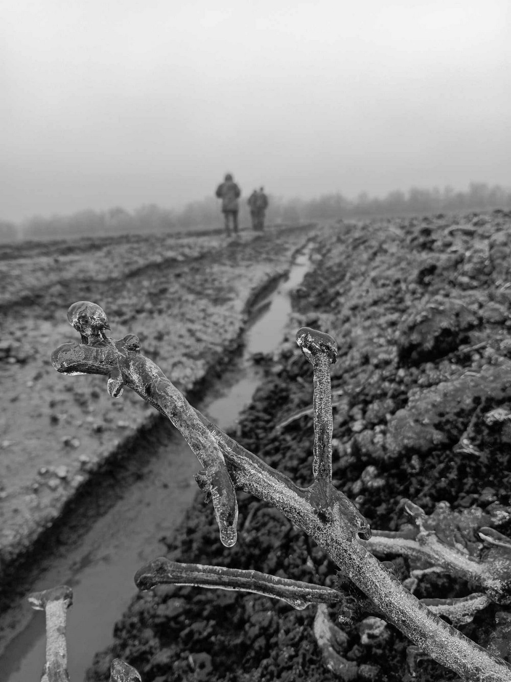 «Ця втрата розбила залишки серця…»: на фронті загинув Кіт Характерник – відомий фотограф і Захисник (фото) «Ця втрата розбила залишки серця…»: на фронті загинув Кіт Характерник – відомий фотограф і Захисник (фото)