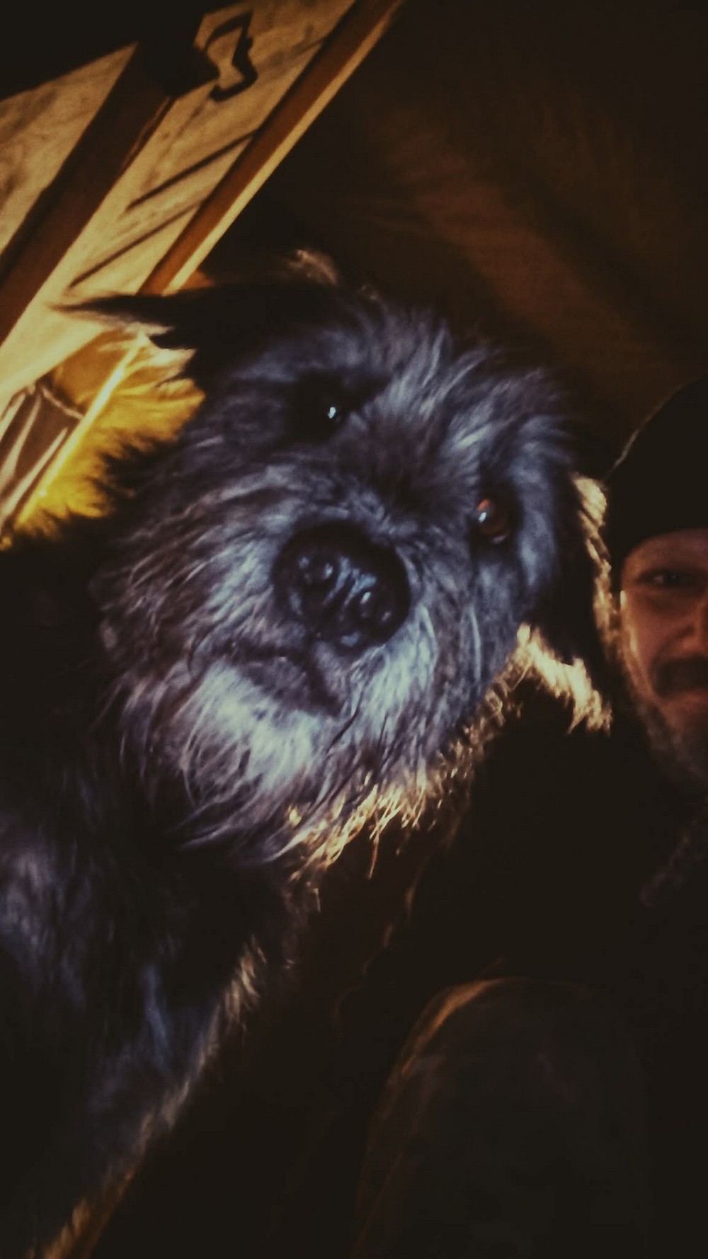 «Ця втрата розбила залишки серця…»: на фронті загинув Кіт Характерник – відомий фотограф і Захисник (фото) «Ця втрата розбила залишки серця…»: на фронті загинув Кіт Характерник – відомий фотограф і Захисник (фото)