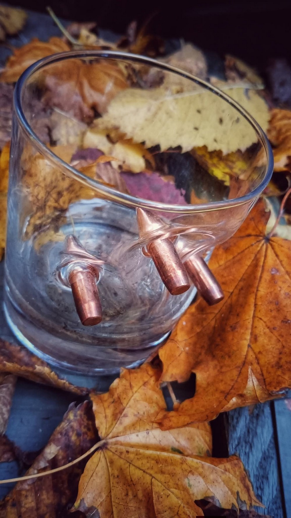 «Ця втрата розбила залишки серця…»: на фронті загинув Кіт Характерник – відомий фотограф і Захисник (фото) «Ця втрата розбила залишки серця…»: на фронті загинув Кіт Характерник – відомий фотограф і Захисник (фото)