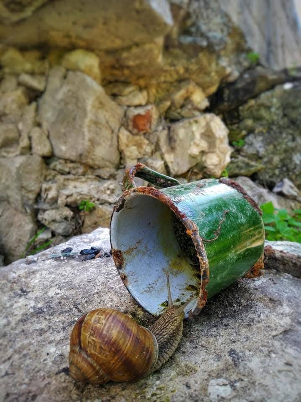 «Ця втрата розбила залишки серця…»: на фронті загинув Кіт Характерник – відомий фотограф і Захисник (фото) «Ця втрата розбила залишки серця…»: на фронті загинув Кіт Характерник – відомий фотограф і Захисник (фото)