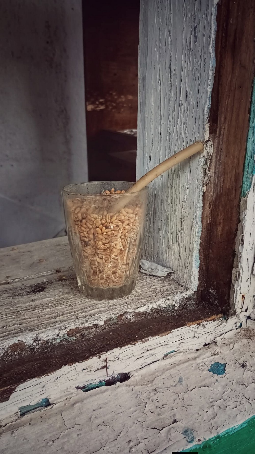 «Ця втрата розбила залишки серця…»: на фронті загинув Кіт Характерник – відомий фотограф і Захисник (фото) «Ця втрата розбила залишки серця…»: на фронті загинув Кіт Характерник – відомий фотограф і Захисник (фото)