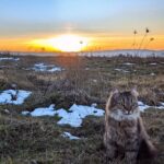 12 грудня – яке сьогодні свято, прикмети і традиції, пам’ятні дати, іменини