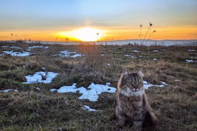 12 грудня – яке сьогодні свято, прикмети і традиції, пам’ятні дати, іменини