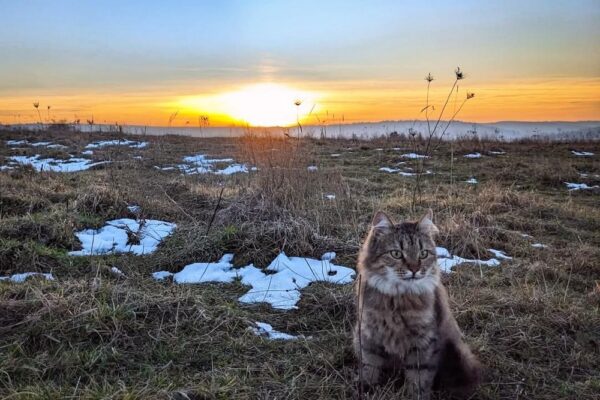 12 грудня – яке сьогодні свято, прикмети і традиції, пам’ятні дати, іменини