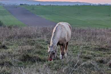 2 грудня – яке сьогодні свято, прикмети і традиції, пам’ятні дати, іменини