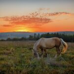 13 грудня – яке сьогодні свято, прикмети і традиції, пам’ятні дати, іменини