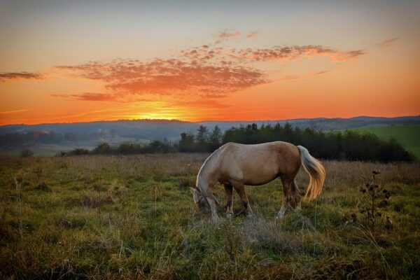 13 грудня – яке сьогодні свято, прикмети і традиції, пам’ятні дати, імениниcolor